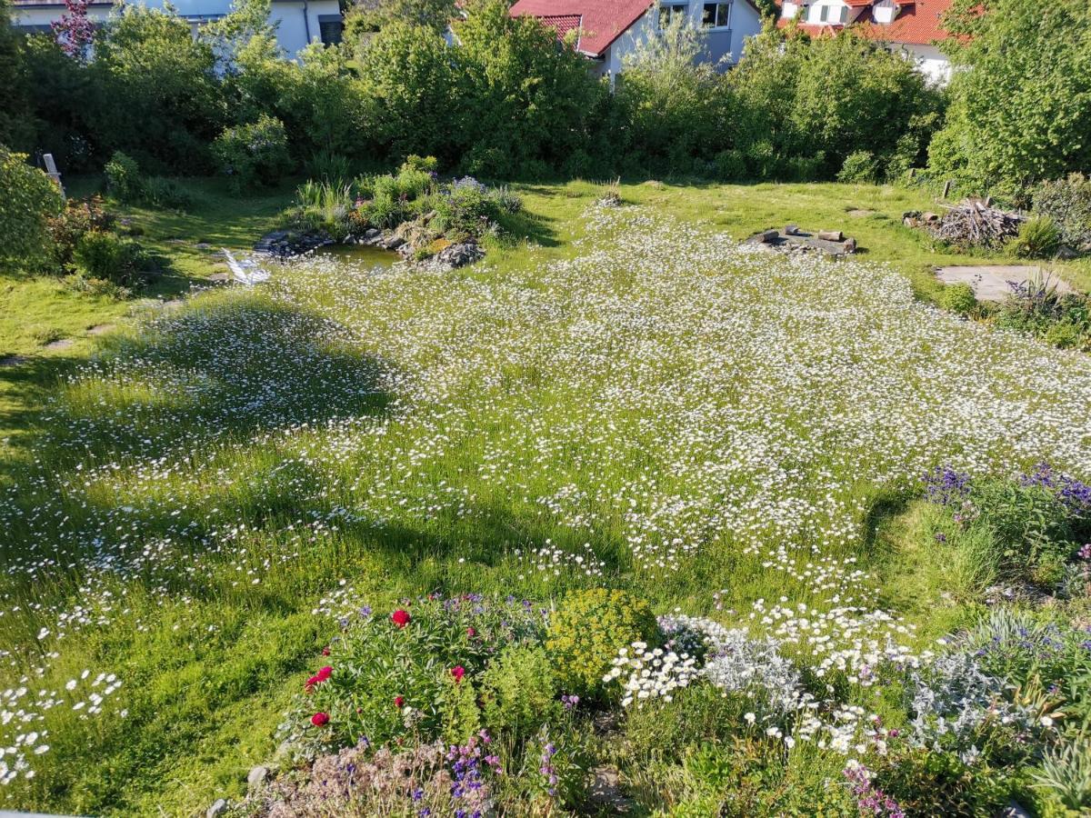 Moderne Ferienwohnung Gartenblick Amtzell Εξωτερικό φωτογραφία