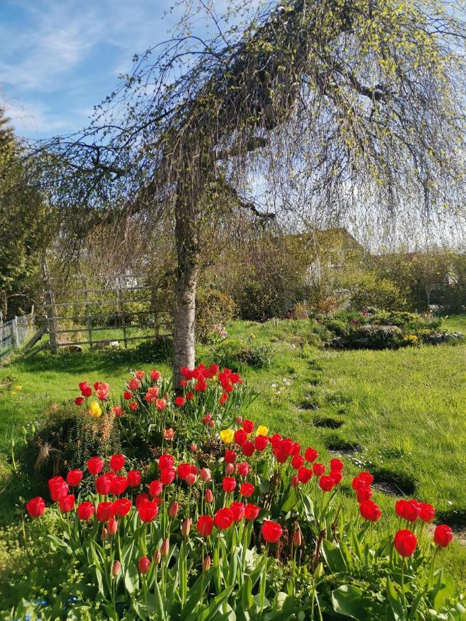Moderne Ferienwohnung Gartenblick Amtzell Εξωτερικό φωτογραφία